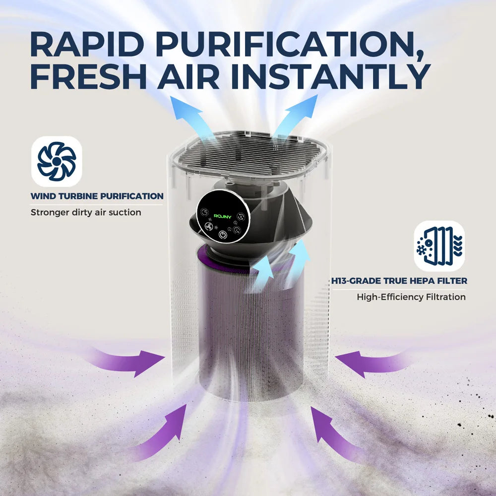 Air Purifier with H13 True HEPA Filter for Home Allergies and Pets Hair, Smokers in Bedroom
